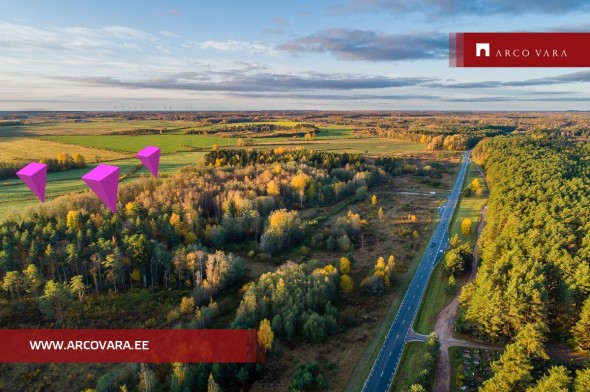 Продаётся земля Sinimetsa 13, Tõrvajõe küla, Narva-Jõesuu linn, Ida-Viru maakond