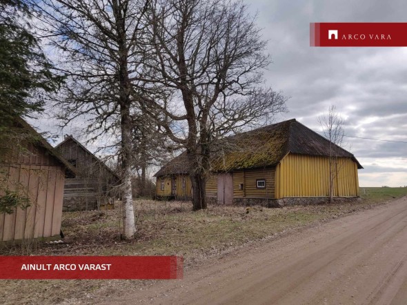 For sale  - farm Pedasi, Reastvere küla, Jõgeva vald, Jõgeva maakond