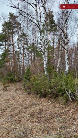 For sale  - land Pärnamaa, Pusku küla, Haapsalu linn, Lääne maakond