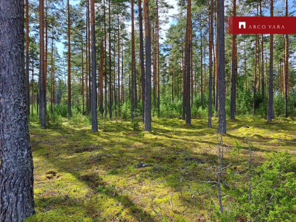For sale  - land Saarde, Väike-Rõsna küla, Setomaa vald, Võru maakond