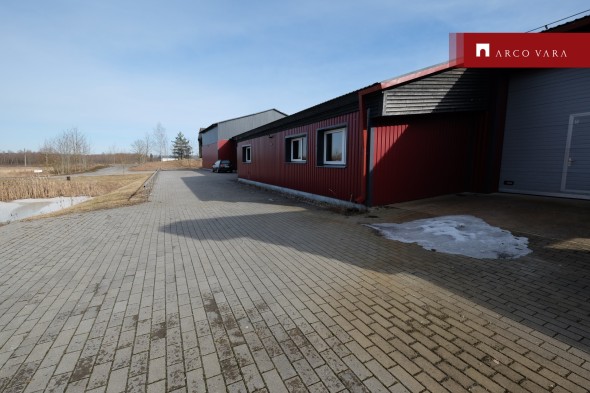 For sale  - production Allikunurga, Türi-Alliku küla, Türi vald, Järva maakond