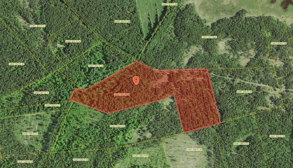 For sale  - land Rusniku, Ööriku küla, Saaremaa vald, Saare maakond