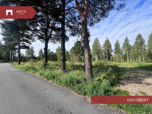 For sale  - land Siimu tee 4, Uulu küla, Häädemeeste vald, Pärnu maakond
