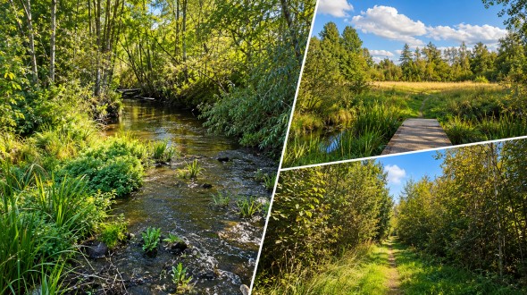 Müüa maa Sulujõe, Sulupere küla, Rapla vald, Rapla maakond