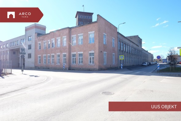 Üürile anda teeninduspind Lossi  41, Viljandi linn, Viljandi maakond