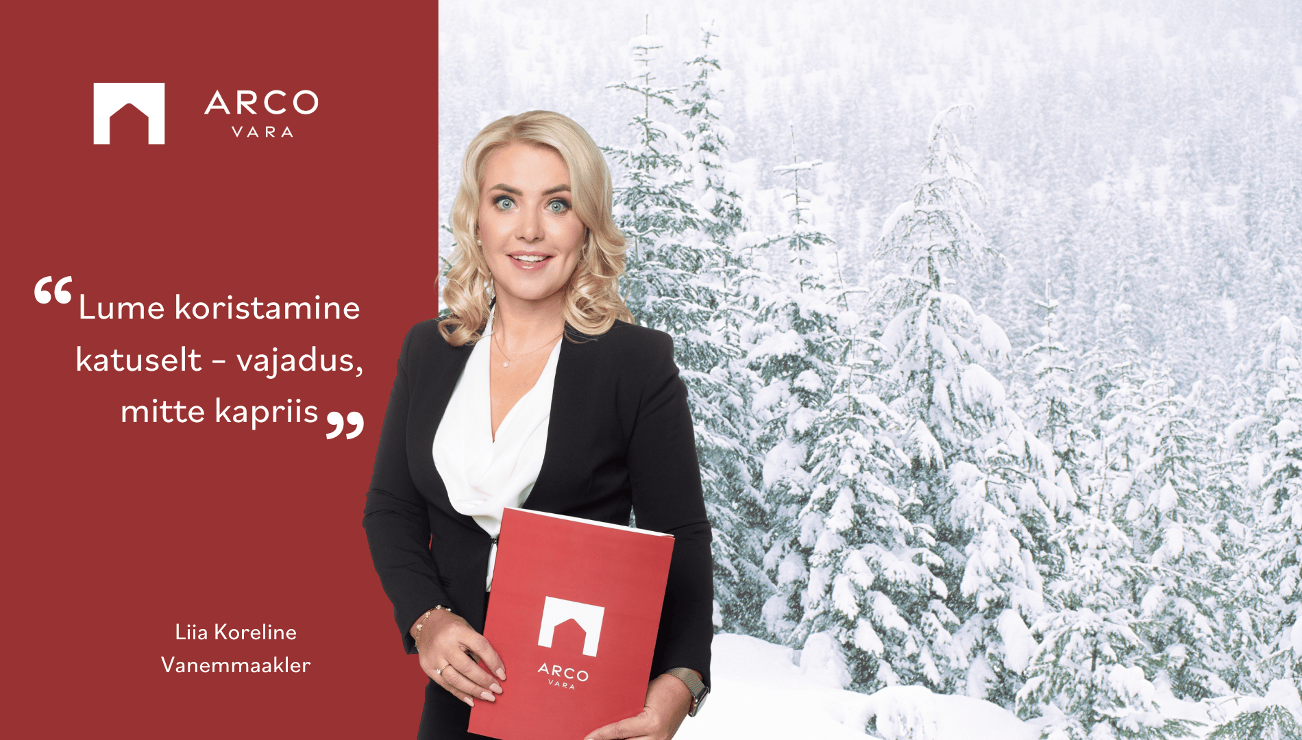 Liia Koreline: Lume koristamine katuselt – vajadus, mitte kapriis