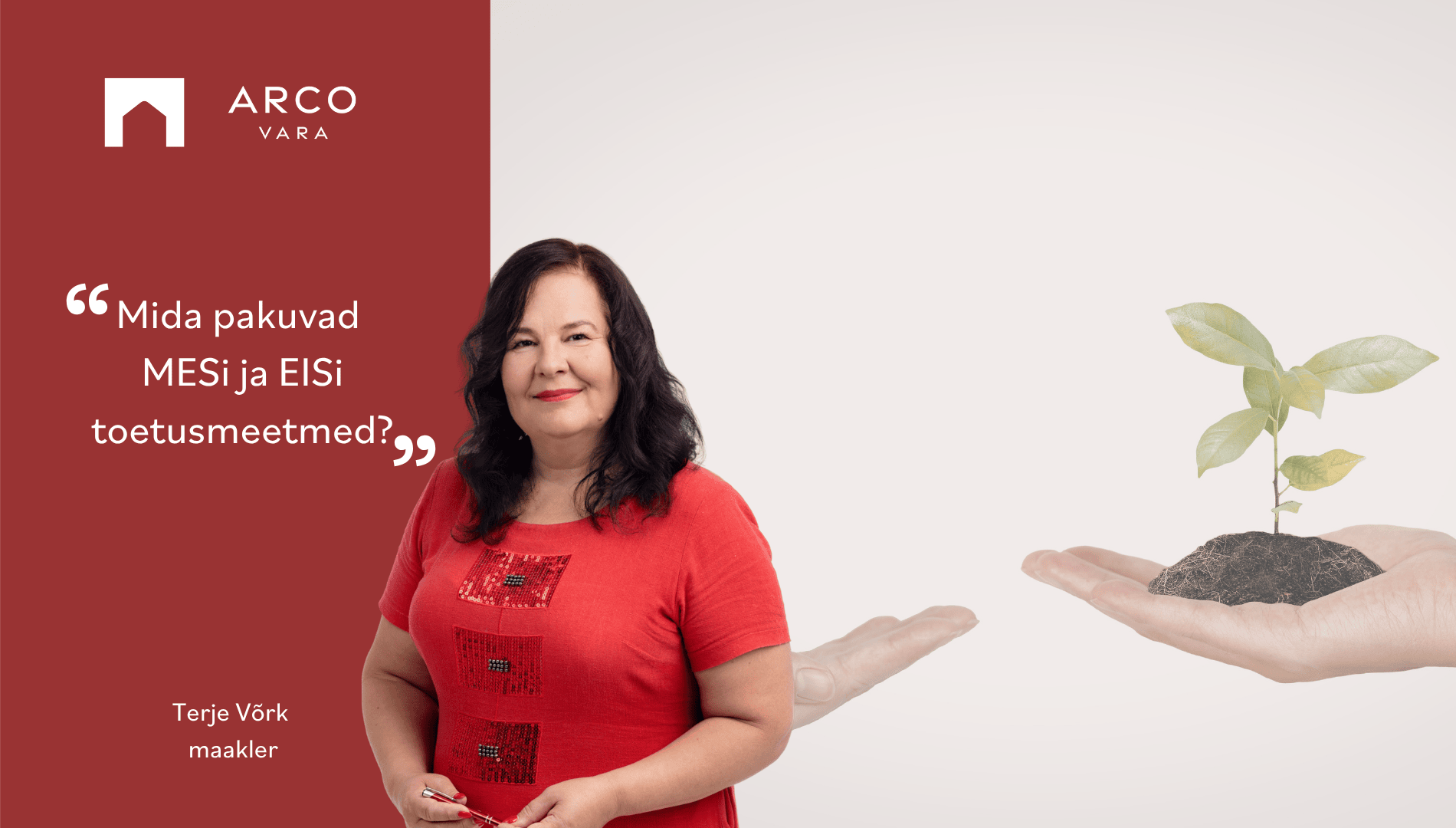 Terje Võrk: Mida pakuvad MESi ja EISi toetusmeetmed?