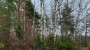 For sale  - land Pärnamaa, Pusku küla, Haapsalu linn, Lääne maakond