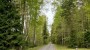 Müüa maa Järvkaisli, Vaibla küla, Viljandi vald, Viljandi maakond