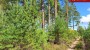 For sale - land Saarde, Väike-Rõsna küla, Setomaa vald, Võru maakond