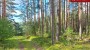 For sale - land Saarde, Väike-Rõsna küla, Setomaa vald, Võru maakond