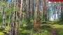 For sale - land Saarde, Väike-Rõsna küla, Setomaa vald, Võru maakond