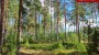 For sale - land Saarde, Väike-Rõsna küla, Setomaa vald, Võru maakond