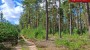 For sale - land Saarde, Väike-Rõsna küla, Setomaa vald, Võru maakond