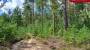 For sale - land Saarde, Väike-Rõsna küla, Setomaa vald, Võru maakond