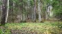 Продаётся земля Siniõismaa, Paunküla, Kose vald, Harju maakond