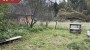 Müüa talu Kopli, Palupera küla, Elva vald, Tartu maakond