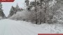 Müüa maa Kaarli tee 16, Upa küla, Saaremaa vald, Saare maakond