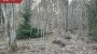 Müüa maa Klaukse tee 8, Salmistu küla, Kuusalu vald, Harju maakond
