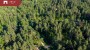 Müüa maa Klaukse tee 8, Salmistu küla, Kuusalu vald, Harju maakond