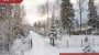 Müüa maa Metsise 3, Kibuna küla, Saue vald, Harju maakond
