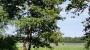 For sale - land Kivinaeri, Rummu küla, Kuusalu vald, Harju maakond