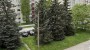 For rent  - apartment Jaan Koorti  3, Lasnamäe linnaosa, Tallinn, Harju maakond