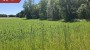 Müüa maja Tooma-Jaagu, Audla küla, Saaremaa vald, Saare maakond