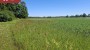 Müüa maja Tooma-Jaagu, Audla küla, Saaremaa vald, Saare maakond