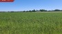 Müüa maja Tooma-Jaagu, Audla küla, Saaremaa vald, Saare maakond