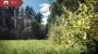 For sale  - land Orava, Tootsi küla, Võru vald, Võru maakond