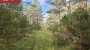 Müüa maa Rusniku, Ööriku küla, Saaremaa vald, Saare maakond