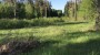 Продаётся земля Soone, Kasepere küla, Lääne-Harju vald, Harju maakond