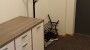 For rent  - apartment Ladva  1, Jaamamõisa, Tartu linn, Tartu maakond