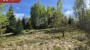 For sale  - land Kännustiku, Vooreküla, Põlva vald, Põlva maakond