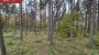 Продаётся земля Metsise, Mändjala küla, Saaremaa vald, Saare maakond