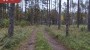 Продаётся земля Metsise, Mändjala küla, Saaremaa vald, Saare maakond