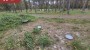 Продаётся земля Metsise, Mändjala küla, Saaremaa vald, Saare maakond