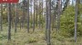 Продаётся земля Metsise, Mändjala küla, Saaremaa vald, Saare maakond