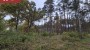 Продаётся земля Metsise, Mändjala küla, Saaremaa vald, Saare maakond