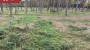 Продаётся земля Metsise, Mändjala küla, Saaremaa vald, Saare maakond