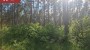 Müüa maa Kunksmoori, Pulli küla, Saaremaa vald, Saare maakond