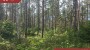 Müüa maa Kunksmoori, Pulli küla, Saaremaa vald, Saare maakond