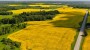 Продаётся земля Koprajõe, Andja küla, Rakvere vald, Lääne-Viru maakond