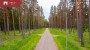 For sale - land Metsise tee 4, Papsaare küla, Pärnu linn, Pärnu maakond