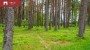 For sale - land Metsise tee 4, Papsaare küla, Pärnu linn, Pärnu maakond