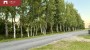 For sale  - land Kotka tee 8, Papsaare küla, Pärnu linn, Pärnu maakond
