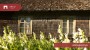 Продаётся дом Tebina, Sultsi küla, Viljandi vald, Viljandi maakond