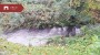 Продаётся дом Kiviõli tee 9a, Lüganuse alevik, Lüganuse vald, Ida-Viru maakond