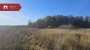 For sale  - land Karu, Peeterristi küla, Narva-Jõesuu linn, Ida-Viru maakond